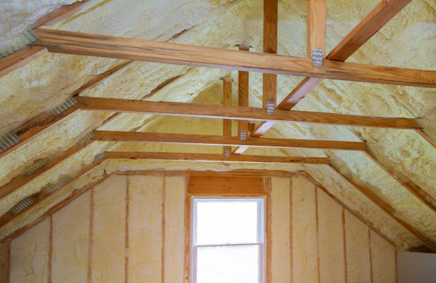 Professional Insulation Contractor in FL